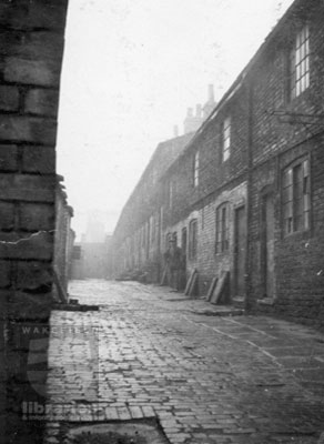 Photo of Volunteer Yard